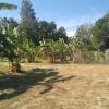 Haus in ländlicher Idylle, Prachuap Khiri Khan City