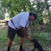 Hundetraining für alle Hunderassen