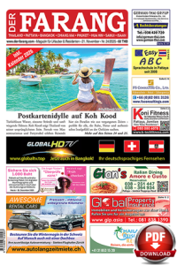 PDF Online Ausgabe FA24/2025