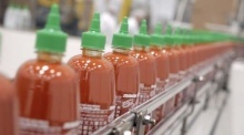 Filmvorführung: „Sriracha“
