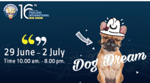 Thailand International Dog Show