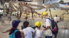 Dinosauriermuseum feiert 10. Geburtstag
