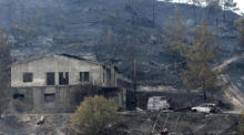 Ein komplett verbranntes Grundstück im Dorf Melini in der Bergregion von Larnaca. Foto: epa/Katia Christodoulou
