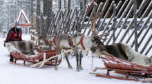 Ein Schlittenverleiher wartet im Weihnachtsmanndorf am Polarkreis auf Kunden, die die von Rentieren gezogenen Schlitten mieten möchten. Foto: epa/Kaisa Siren