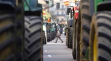 Ein Mann überquert eine Straße zwischen mehreren Traktoren während einer Kundgebung von Landwirten in Valladolid, Nordspanien. Archivfoto: epa/NACHO GALLEGO