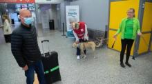 Coronavirus-Schnüffelhunde beginnen ihre Arbeit am Flughafen Helsinki-Vantaa. Foto: epa/Mauri Ratilainen