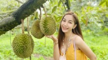 Ein Selfie mit Durian ist für thailändische Besucher im Suphattra Land in Rayong Pflicht. Foto: Suphattra Land