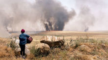 Die undatierte, von kurdischen Aktivisten des Rojava Information Centers herausgegebene, Aufnahme zeigt eine Frau, die brennende Felder in der Region Dschasira beobachtet. Foto: -/Rojava Information Center/dpa