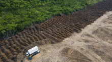 Ein Lastwagen steht in einem abgeholzten Gebiet des Amazonas. Klar ist: weitermachen wie bisher geht nicht. Foto: Fernando Souza/Zuma Press Wire/dpa