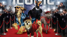 Thailand International Dog Show 2026