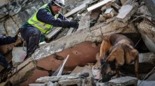 Das portugiesische Rettungsteam durchsucht eingestürzte Gebäude in Antakya. Foto: EPA-EFE/Joao Relvas