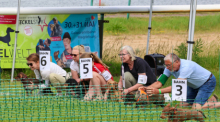 Start eines Vorlaufs bei der 2. Deutschen Meisterschaft im Dackelrennen. Insgesamt treten am Wochenende 258 Dackel beim Dackelrennen gegeneinander an. Foto: Peter Gercke/dpa