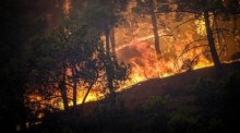 Ein massiver Waldbrand tobt auf der griechischen Insel Rhodos. Foto: Argiris Mantikos/Xinhua/dpa