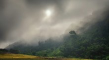 Gewitter bleiben in Teilen Thailands möglich, insgesamt erwartet der Wetterdienst jedoch eine nachlassende Niederschlagsaktivität. Archivbild: Rowan Heuvel/Unsplash