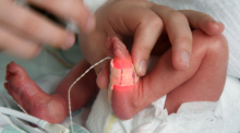 Im Perinatalzentrum vom Universitätsklinikum wird ein zu klein geborenes Kind im Inkubator betreut. Foto: Waltraud Grubitzsch/dpa-zentralbild/dpa