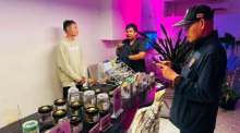 Behörden in Phuket kontrollierten gemeinsam mit Polizei und Gesundheitsamt zahlreiche Cannabis-Geschäfte und verschärfen das Vorgehen gegen Verstöße gegen die Lizenzvorschriften. Foto: Phuket Info Center