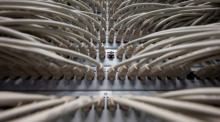 Netzwerkkabel stecken in einem Höchstleistungsrechenzentrum in Ports eines Switchs. Foto: Marijan Murat/dpa