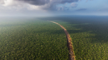 Blick auf die Strecke, sich durch den mexikanischen Dschungel zieht und für den künftigen Maya-Zug entwaldet wurde. Foto: Fernando Martinez Belmar/Fmb/dpa