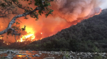 Foto: epa/Us Forest Service