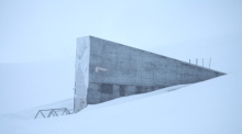 Der Eingang zum globalen Saatguttresor auf Spitzbergen ragt in der Nähe des Polarstädtchens Longyearbyen aus der verschneiten Berglandschaft empor. Foto: Steffen Trumpf/dpa