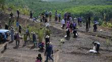 Eine tolle Aktion: Gemeinsam wollen Dorfbewohner in der Nordostprovinz Loei einen Berg neu mit Bäumen bepflanzen, dessen einstige Naturidylle durch den Bergbau zerstört wurde. Bild: Thai PBS/Roengrit Kongmuang