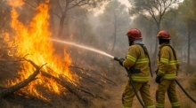 Zwei Feuerwehrleute bekämpfen ein ausgebrochenes Feuer in einem südeuropäischen Wald, Äste brennen lichterloh. Foto: Ki-illustration