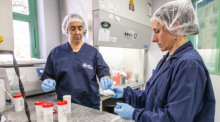 Labormitarbeiterinnen bereiten in Argentinien Hantavirus-Reagenzien für den Versand an internationale Forschungslabore vor. Foto: ANLIS Malbran/dpa