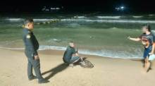 Einsatzkräfte sichern die erschöpfte Meeresschildkröte nach ihrem Fund am Jomtien Beach. Bild: TMN.TV