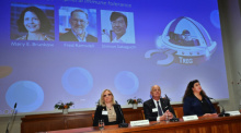 Die Nobelversammlung in Stockholm verkündet Mary E. Brunkow, Fred Ramsdell und Shimon Sakaguchi als Medizin-Nobelpreisträger 2025. Foto: dpa/Claudio Bresciani