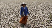 El Niño erhöht das Risiko von Dürre, Wasserknappheit und erheblichen Ernteausfällen in Thailand. Foto: epa/Rungroj Yongrit