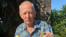 Groß und klein: Es gibt mindestens 350 Bananensorten in Thailand allein. Fotos: hf