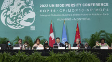 Der Vorsitzende Huang Runqiu (M), chinesischer Minister für Ökologie und Umwelt eröffnet das hochrangige Segment des COP15-Weltnaturgipfels. Foto: Ryan Remiorz/The Canadian Press/ap/dpa