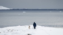 In Nuuk geht ein Mensch mit seinem Hund im Schnee spazieren. Foto: epa/Mads Claus Rasmussen DÄnemark Out