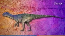 Der Minimocursor phunoiensis ist der 13. Dinosaurier, der in Thailand entdeckt wurde. Foto: The Nation