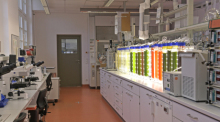So sieht das Labor der Forscherin Carola Griehl und ihrem Team aus. Foto: Hochschule Anhalt, Kompetenzzentrum Algenbiotechnologie/dpa