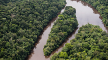 Regenwald und Fluss Ampari etwa 10 Meilen südöstlich vom Nationalpark Tumucumaque. Foto: Daniel Beltrá/Greenpeace United Kingdom/dpa
