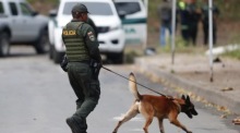 Polizist mit Hund in Kolumbien. Foto: epa/Ernesto Guzman