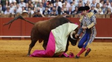 Der spanische Stierkämpfer Morante de la Puebla wird während des Stierkampfs im Rahmen der April-Feria in der Stierkampfarena „Real Maestranza de Caballería“ in Sevilla von seinem zweiten Stier aufgespießt. Foto: epa/Julio Muñoz