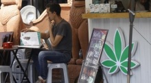 Ein Tourist betrachtet die Menükarte mit den verschiedenen Cannabis-Sorten vor einem Cannabis-Laden in der Khaosan Road in Bangkok. Foto: epa/Narong Sangnak