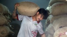 Italien sucht verstärkt Arbeitskräfte aus Thailand für Landwirtschaft, Gesundheitswesen und Dienstleistungen. Foto: epa/Rungroj Yongrit