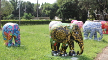 Ein Besuch im Elephant Parade Land mit seinen kunstvollen Skulpturen lohnt sich. Auch in den diversen Läden der Stadt kann man die kleineren Exemplare erwerben. Fotos: Wohlfart