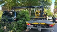 Ein Auto steht nach einem Unfall vor einer Schule im Hamburger Stadtteil Blankenese zwischen Büschen und Ästen. Foto: dpa/Katharina Heinemann