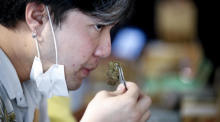 Ein Kunde eines Cannabis-Cafés in Bangkok nimmt eine Geruchsprobe von einer Marihuana-Sorte. Foto: epa/Diego Azubel
