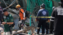 Retter setzen einen K9-Hund an einem eingestürzten Gebäude ein, in dem Dutzende von Menschen in der Stadt Angeles in der Provinz Pampanga eingeschlossen sein sollen. Foto: Aaron Favila/Ap/dpa