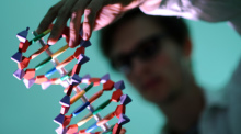 Ein Mann betrachtet in Hamburg ein DNA-Modell. Foto: picture alliance/dpa