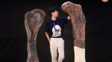 Die Paläontologin Sita Manitkoon vergleicht die gewaltigen Fossilienknochen des neu entdeckten Sauropoden, dessen Oberarmknochen 178 Zentimeter misst. Bild: Department of Mineral Resources