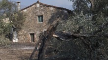 Verbrannte Hügel nahe Pisa nach großem Waldbrand bei Calci. Hunderte Hektar Land wurden zerstört, zahlreiche Menschen mussten evakuiert werden. Foto: EPA/Riccardo Dalle Luche