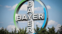 Pharmazeutisches Unternehmen Bayer AG. Foto: epa/Sascha Steinbach