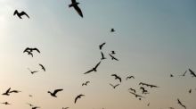 Foto: Ausgewählter Lifestyle Für Unsplash+