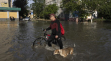 Ein Anwohner mit einem Fahrrad und einem Hund bahnt sich einen Weg durch eine überflutete Straße. Foto: Evgeniy Maloletka/Ap/dpa